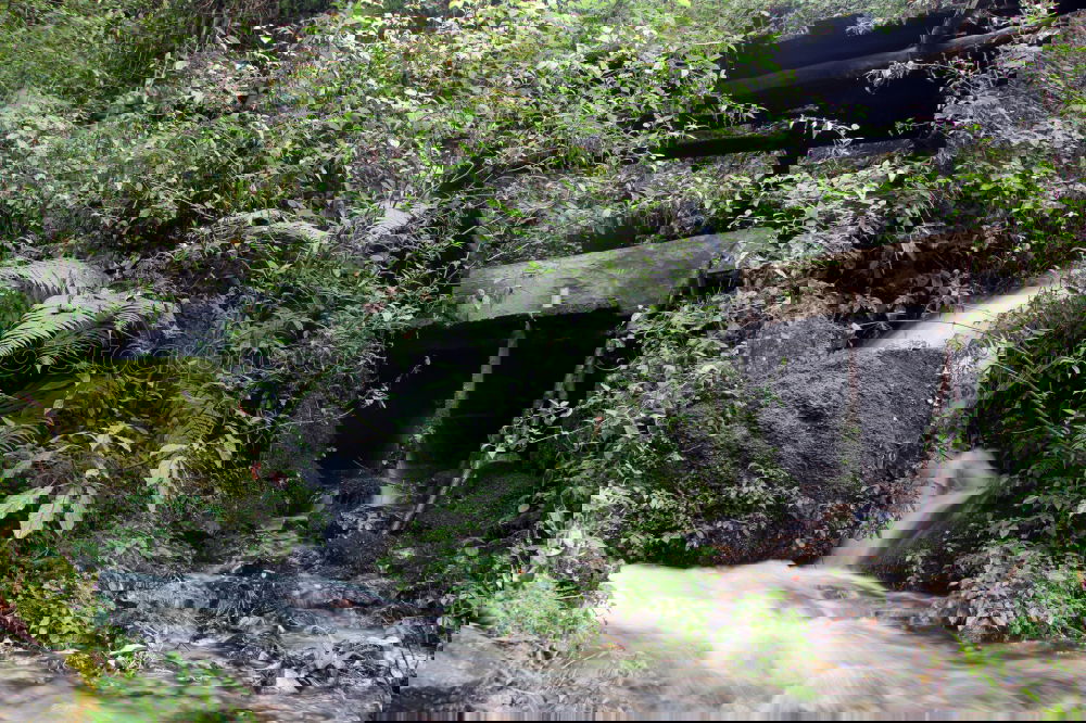 Similar – Foto Bild Schneekatastrophe im Bay. Wald