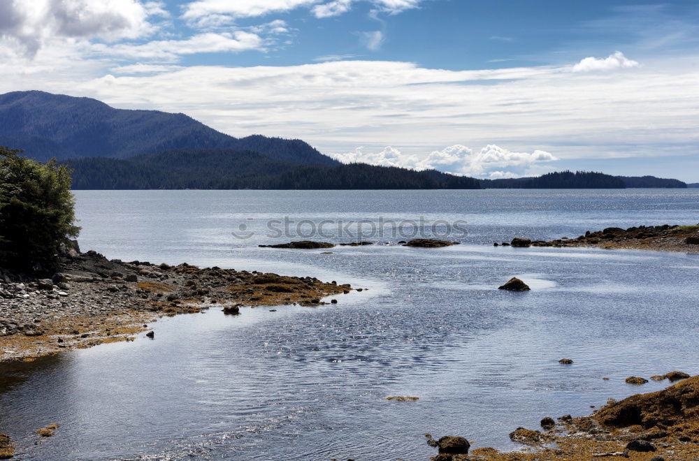 Similar – Image, Stock Photo Atlantic road