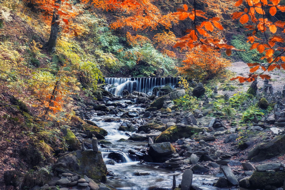 Similar – Image, Stock Photo Göltzsch valley Landscape