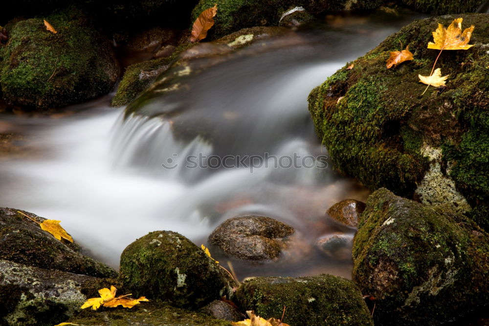 Similar – Image, Stock Photo – autumnal water drifting