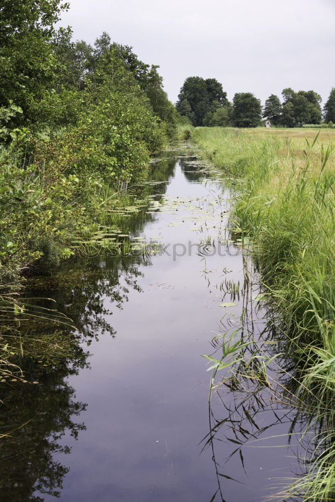 Similar – Image, Stock Photo Pipe and water Grass