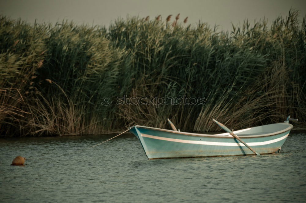 Similar – Boot auf See Natur Wasser