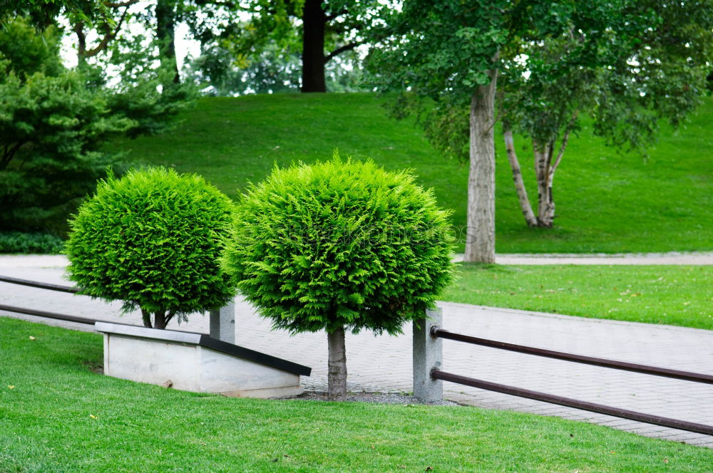 Image, Stock Photo haemorrhoid nursery Park