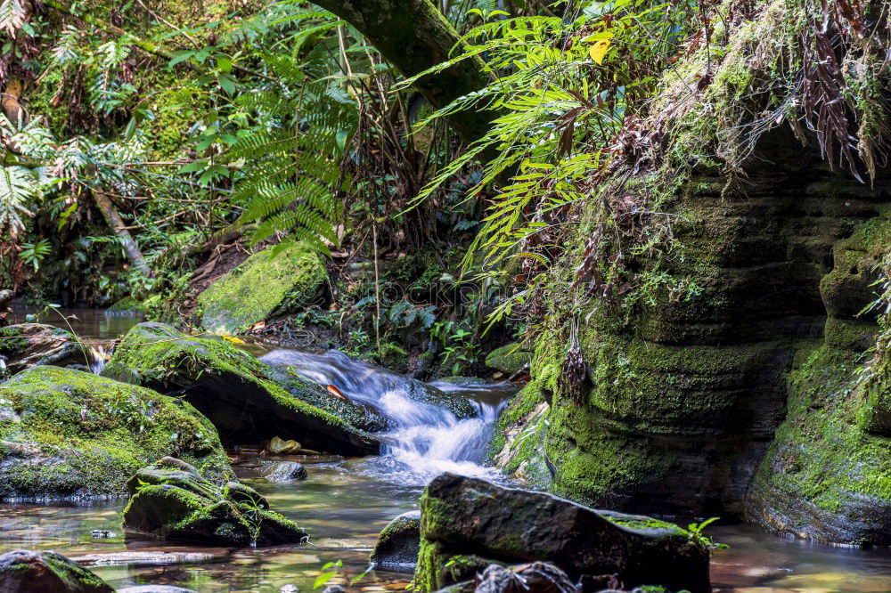 Similar – Image, Stock Photo green Environment Nature