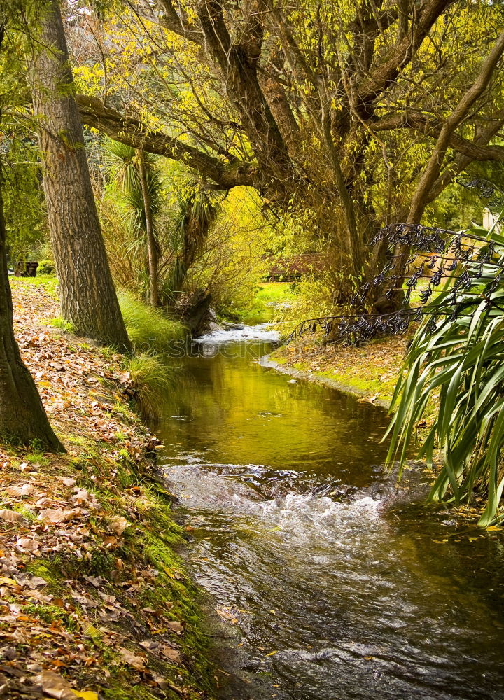 Similar – The Creek at the Yoro Waterfall in Gifu, Japan