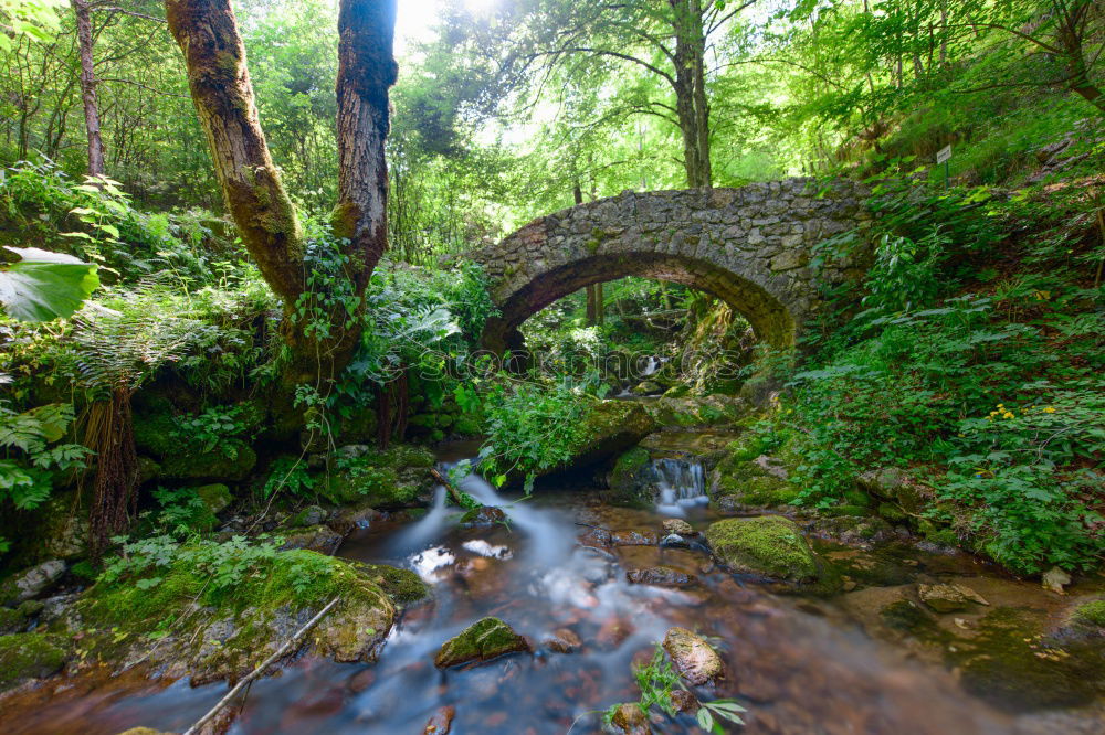 Under the bridge Wasser