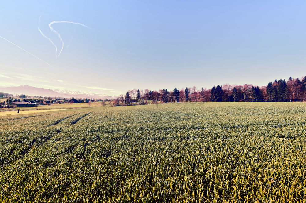 Similar – Blick auf die Nordsee Feld