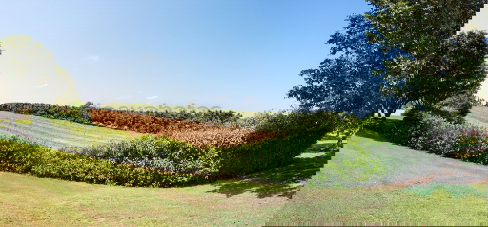 Foto Bild Villa Marie Gras grün