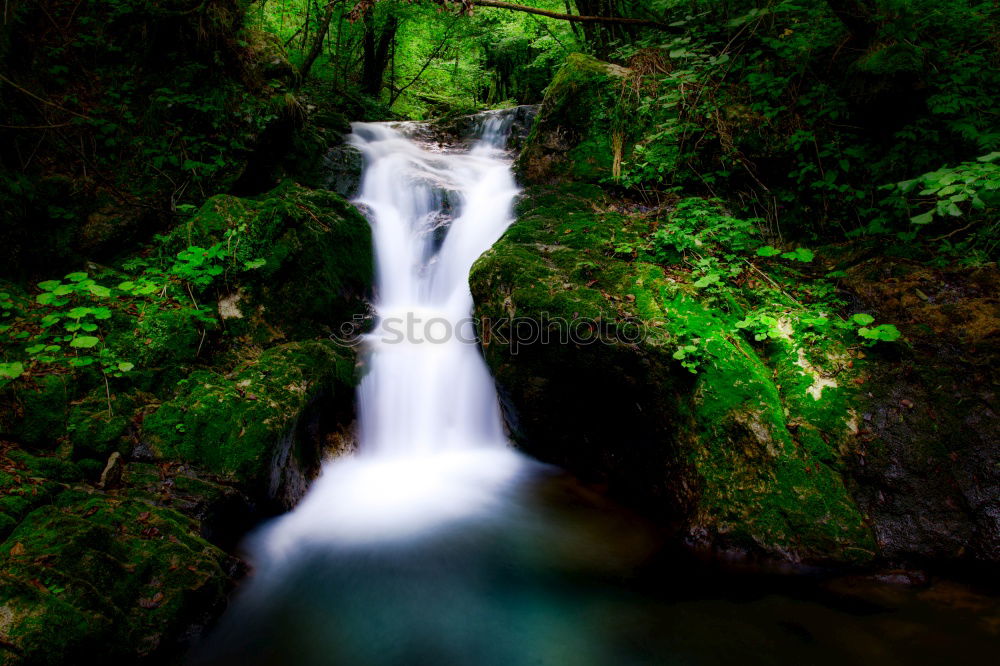 Similar – Image, Stock Photo pure nature Waterfall