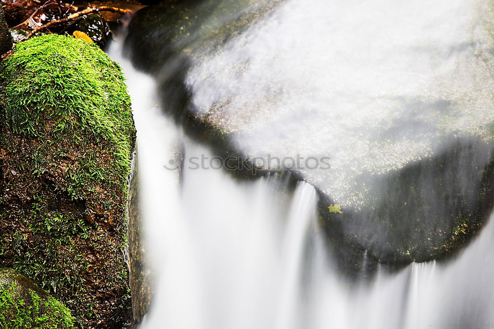 Similar – Image, Stock Photo icily Environment Nature