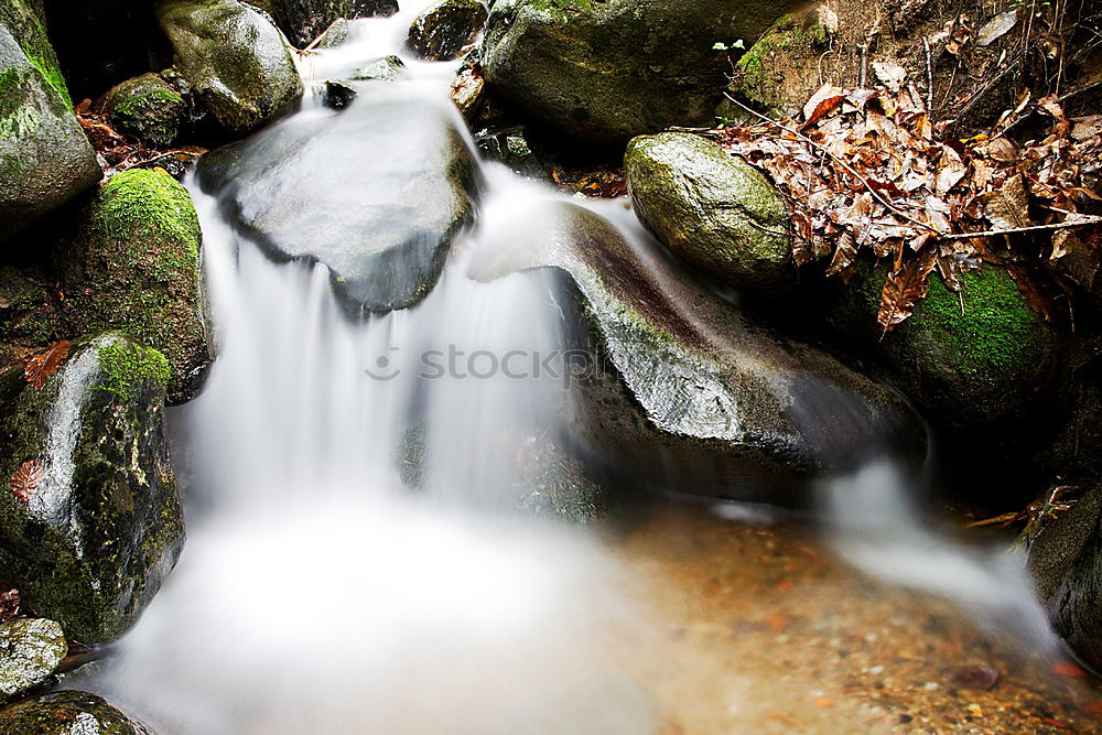Similar – Image, Stock Photo Crystal clear Nature Water