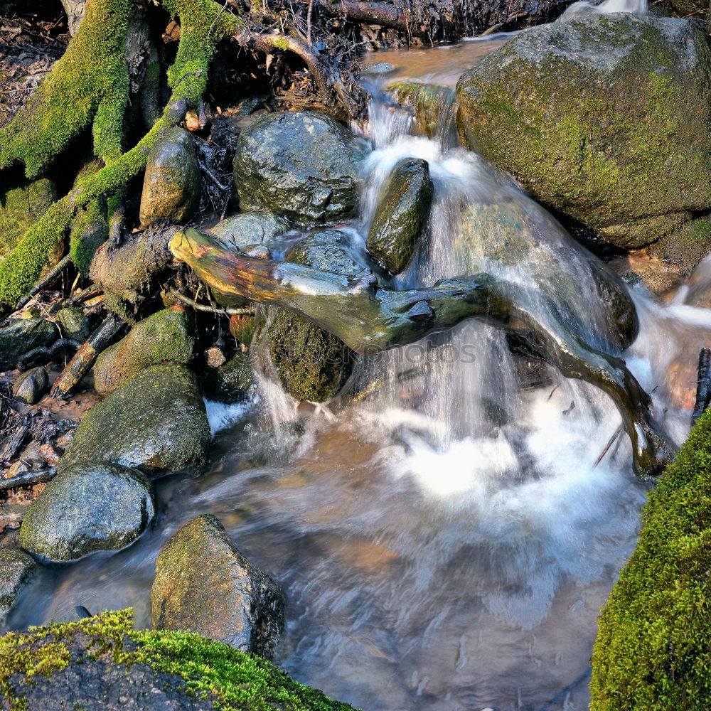 Similar – Image, Stock Photo by the rushing brook….