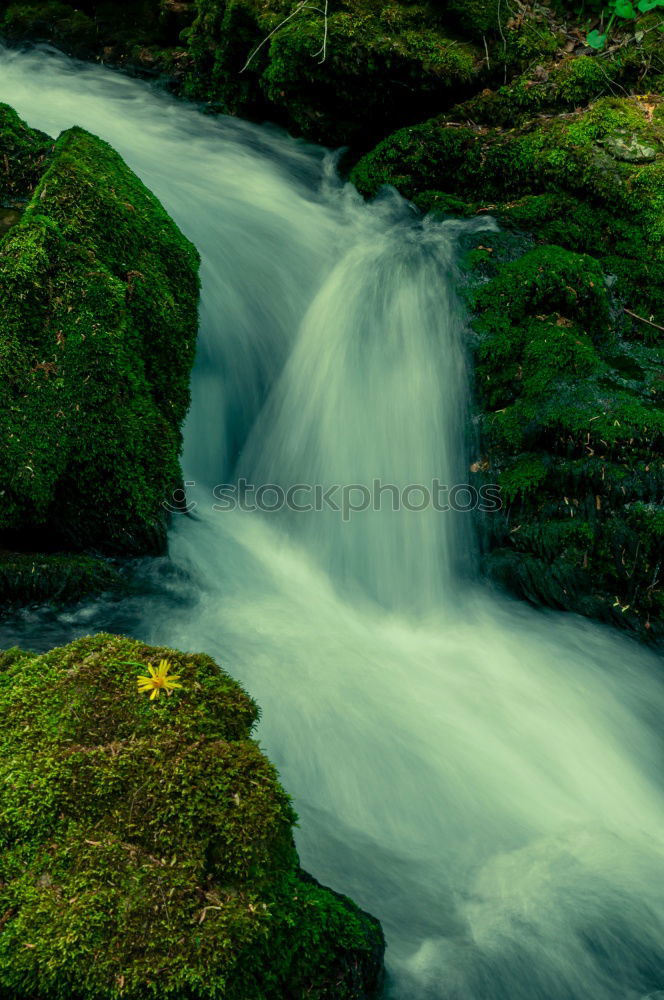 Similar – Image, Stock Photo Small cascade flowing in the forest