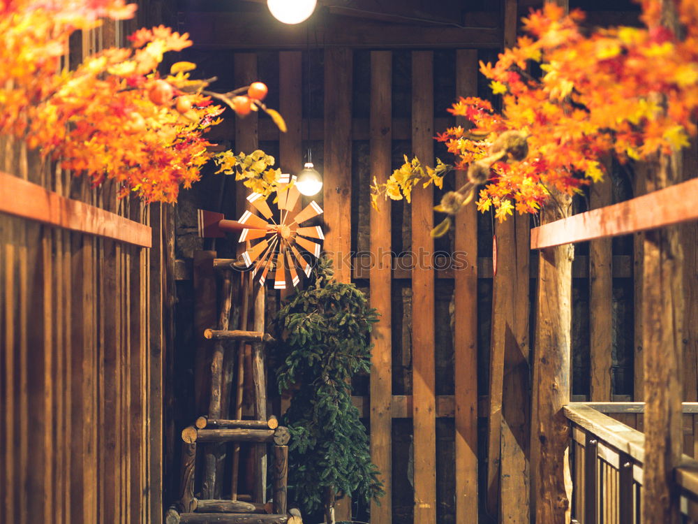 Similar – Image, Stock Photo Detail view of typical urban sicilian decoration