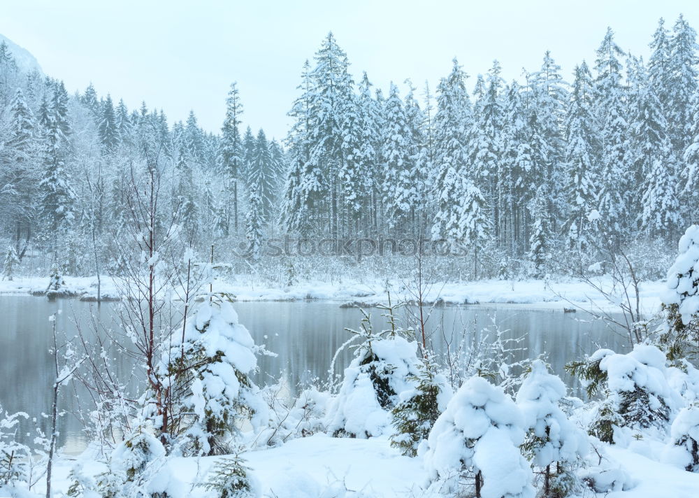 Similar – Image, Stock Photo Small wooden pier and fence over a frozen lake