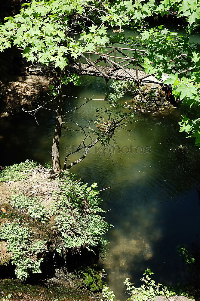 Ruhiges Wasser Umwelt