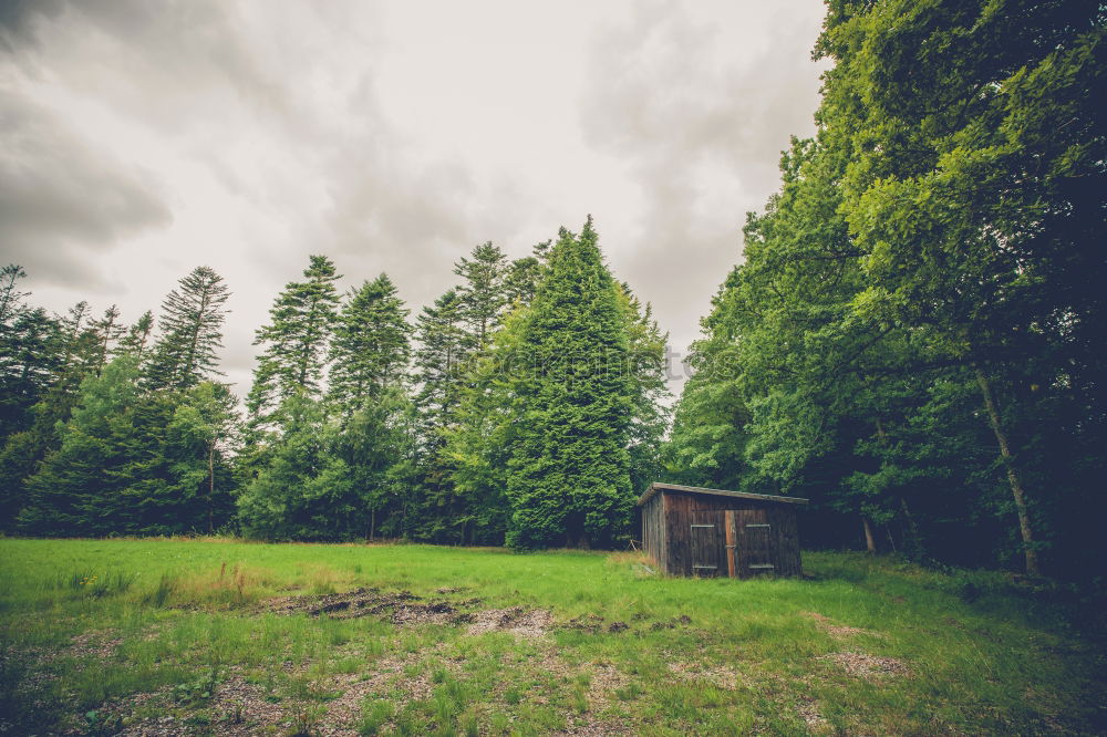 Similar – Image, Stock Photo Hunting lodge in the forest