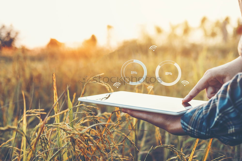 Similar – Woman reading a book outdoors