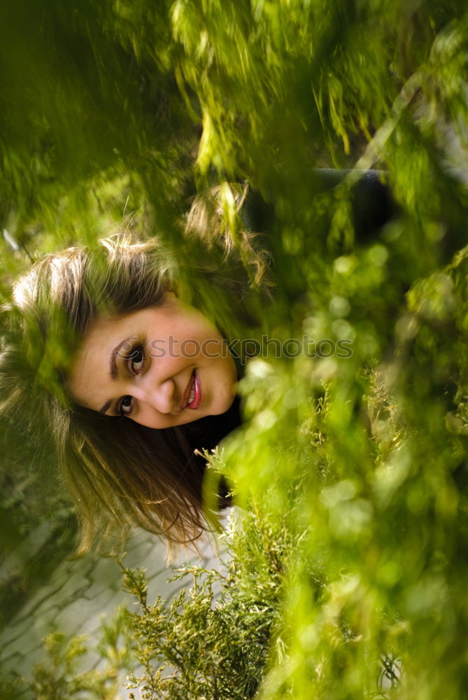 suchbild grün Baum Freude