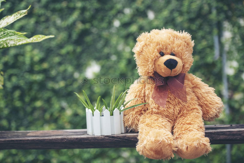 Similar – Image, Stock Photo Child hold teddy Playing