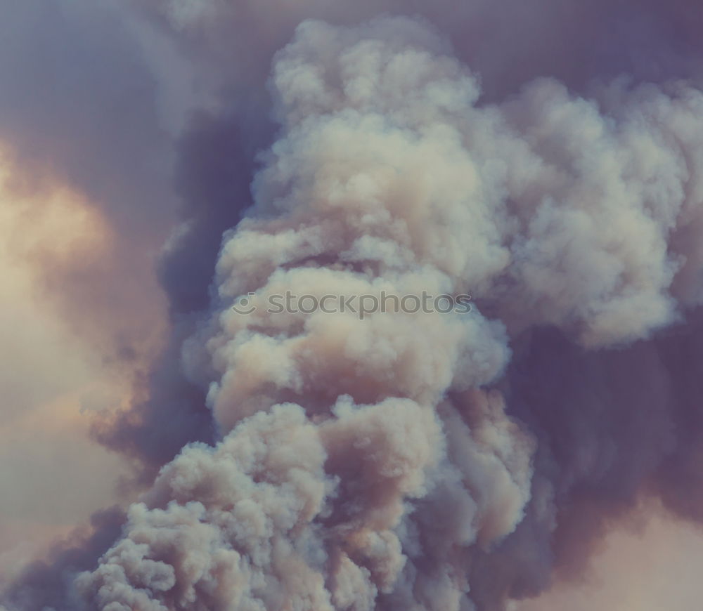 Similar – Image, Stock Photo Dramatic Detail Fire Burning Hill Brush and Tree