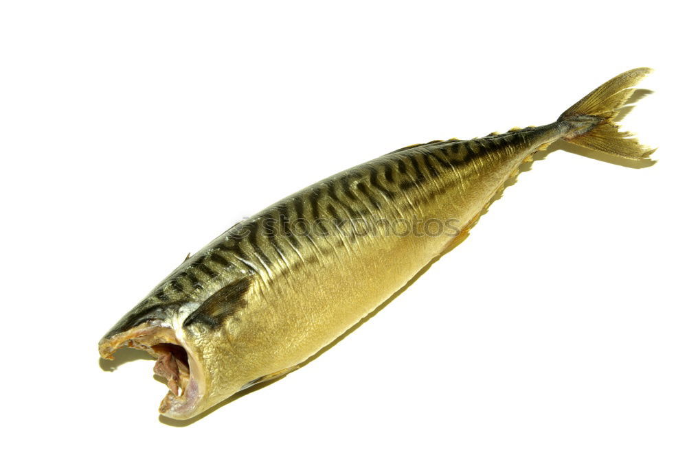 Similar – Image, Stock Photo mackerel Food Fish Seafood