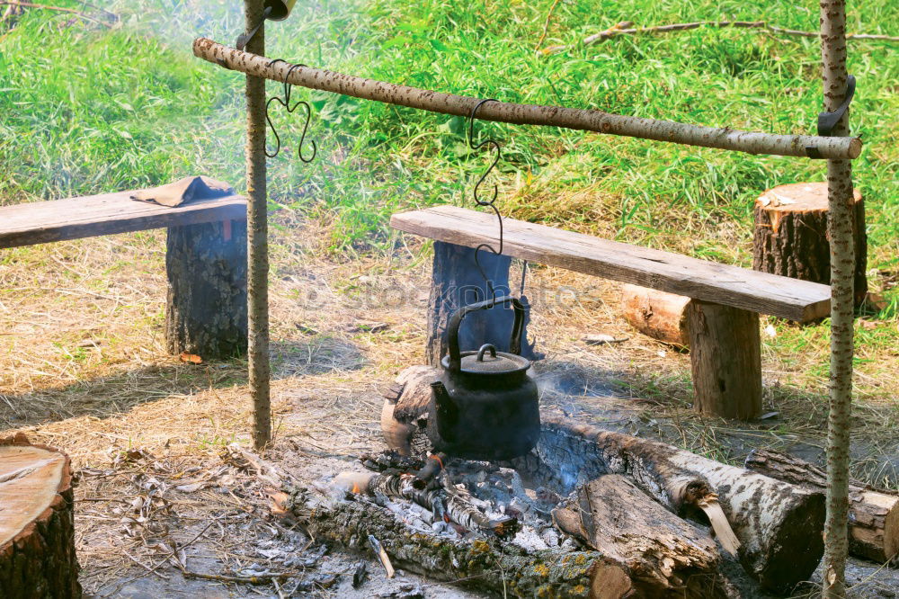 Similar – Image, Stock Photo Smoked fish for everyone! :D