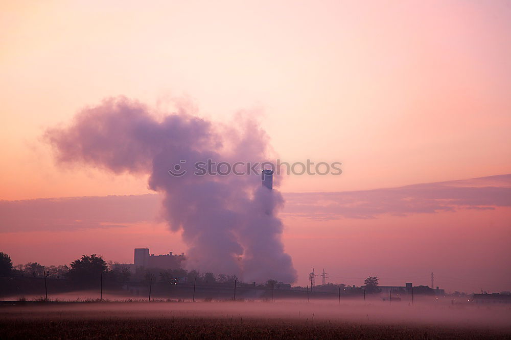 Similar – Image, Stock Photo Abogalüps nau