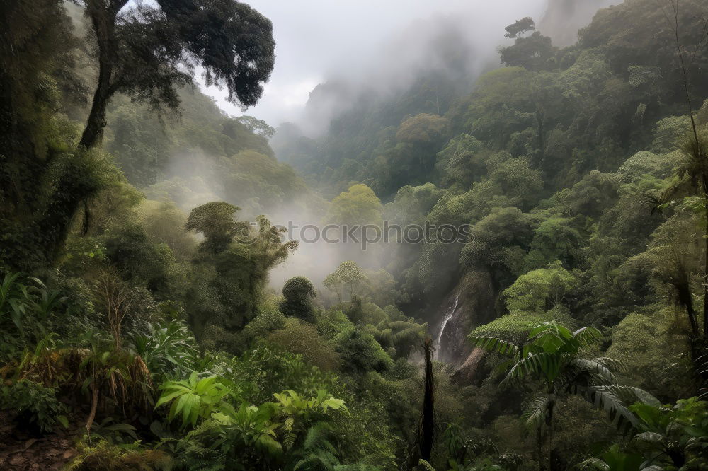 Similar – Image, Stock Photo Under juniper bushes