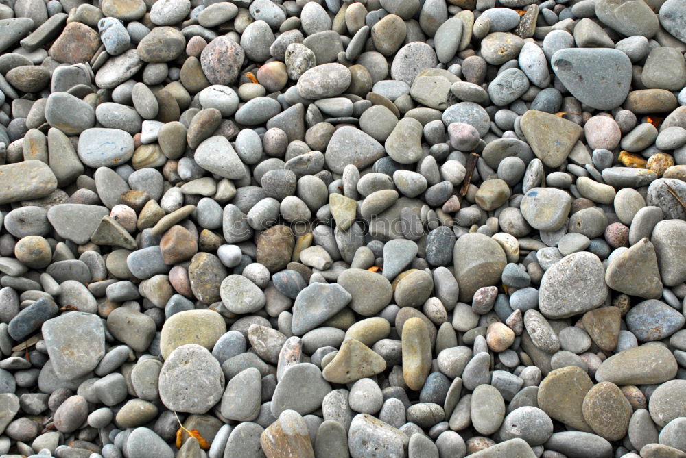 Similar – stones Beach Stone