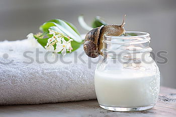 Similar – jars with homemade yogurt