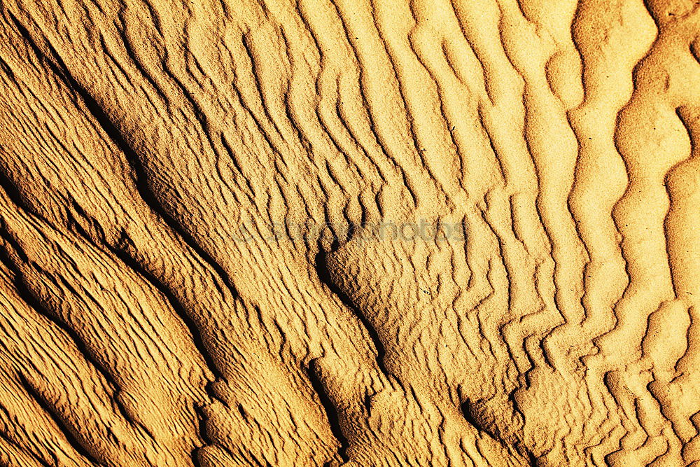 Similar – beach shapes Sand Beach