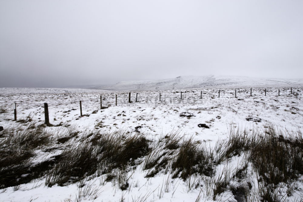 Similar – winter beach