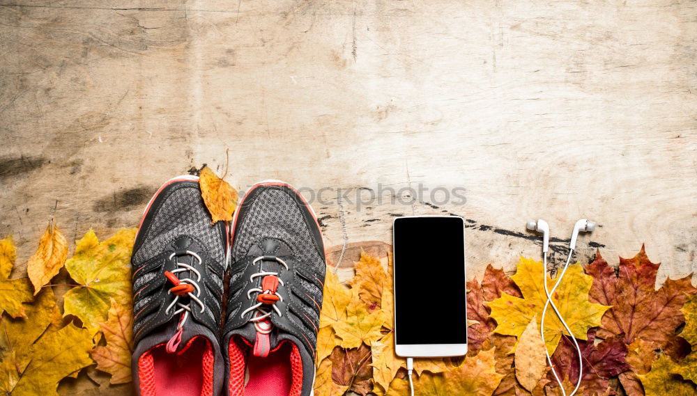 Similar – Feet in front of an analog camera and autumn leaves