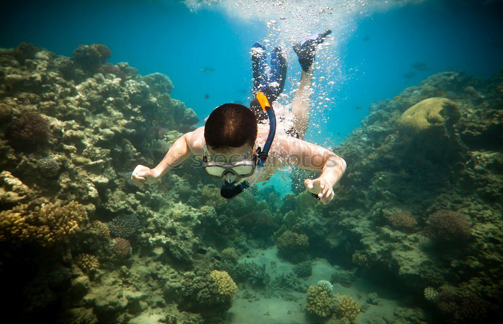 Similar – Image, Stock Photo The jump into the cold water