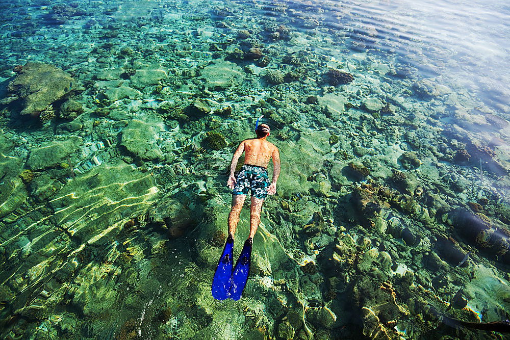 Similar – Image, Stock Photo The jump into the cold water