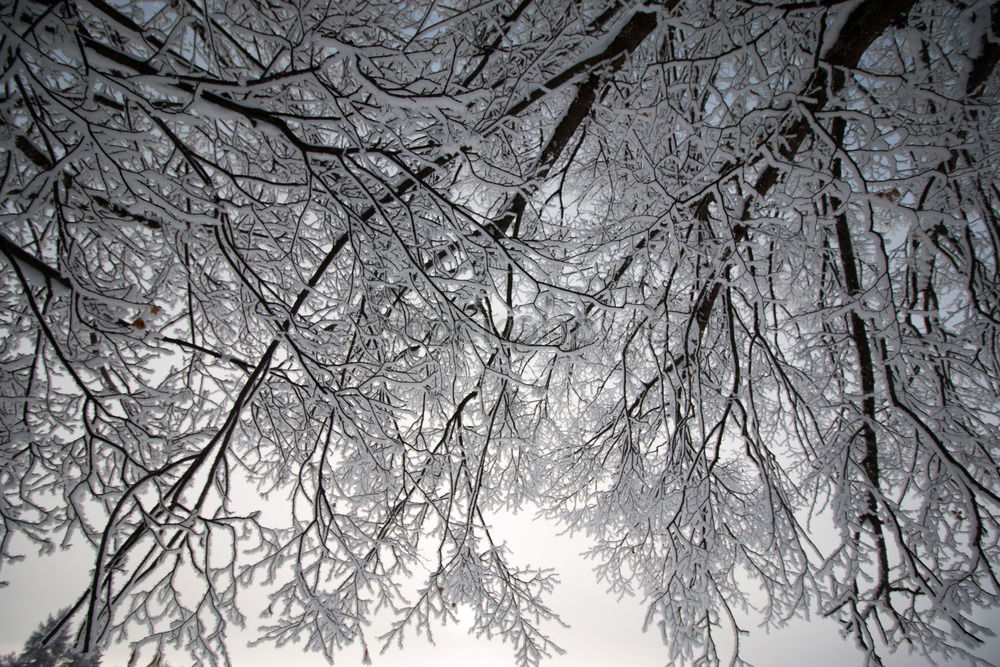 Similar – wintertime Environment