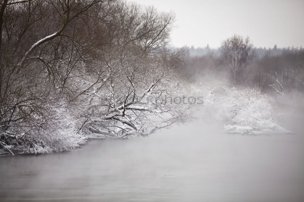 Similar – Image, Stock Photo Silent river in winter sleep