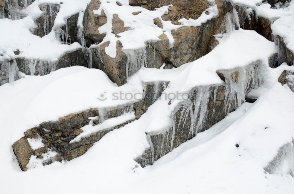 Similar – steinig Natur Landschaft