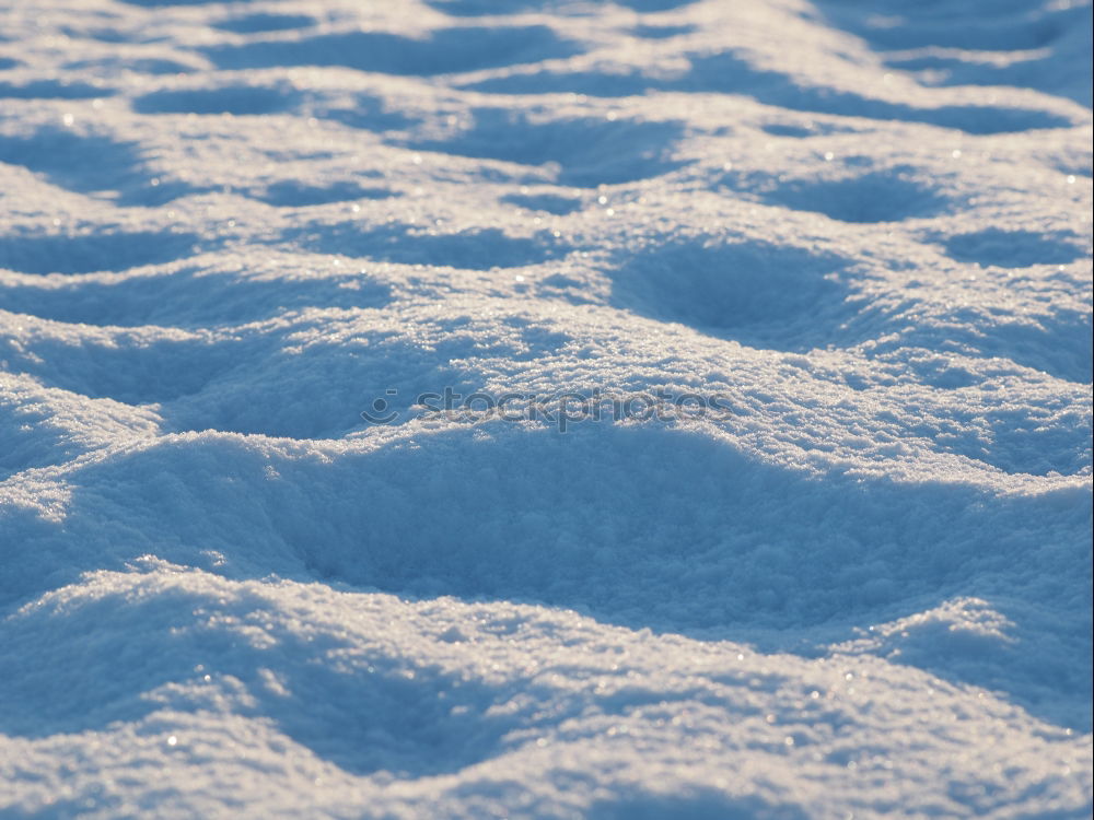 Similar – Winterzauber Sonne Schnee