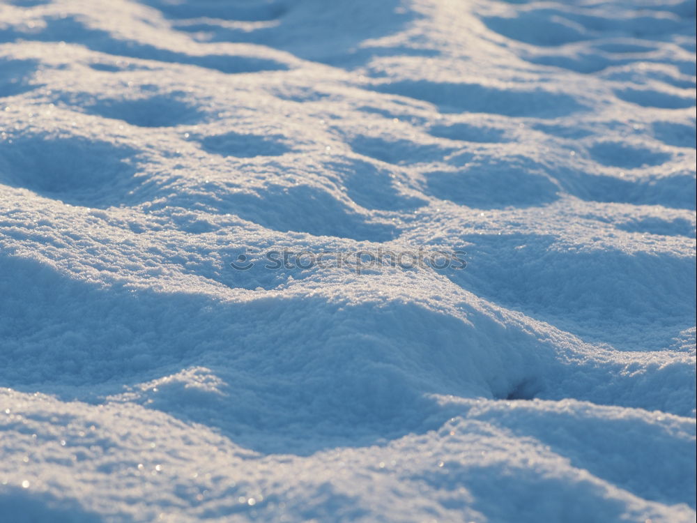 Similar – Winterzauber Sonne Schnee