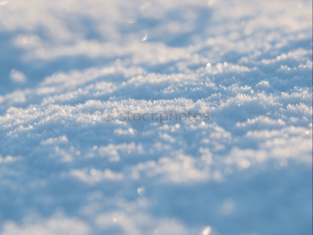 Similar – Winterzauber Sonne Schnee