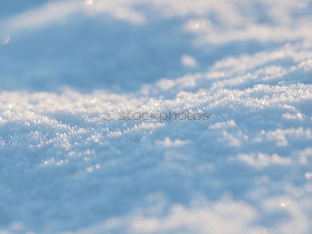 Similar – Image, Stock Photo Winter vs. Spring