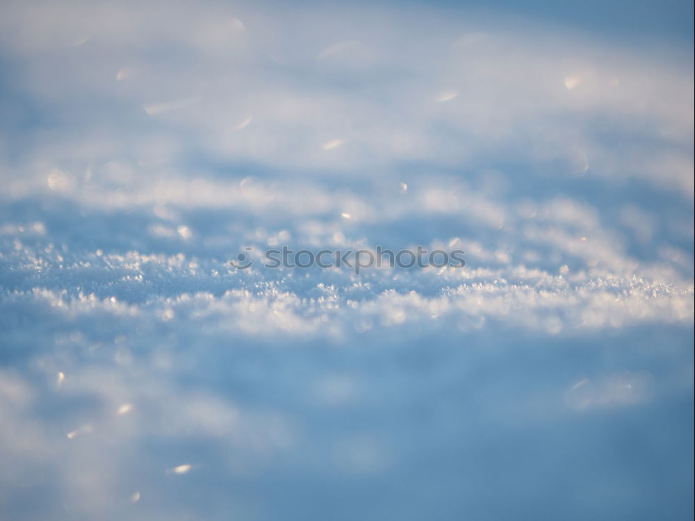 Similar – Image, Stock Photo Little Winterdreams