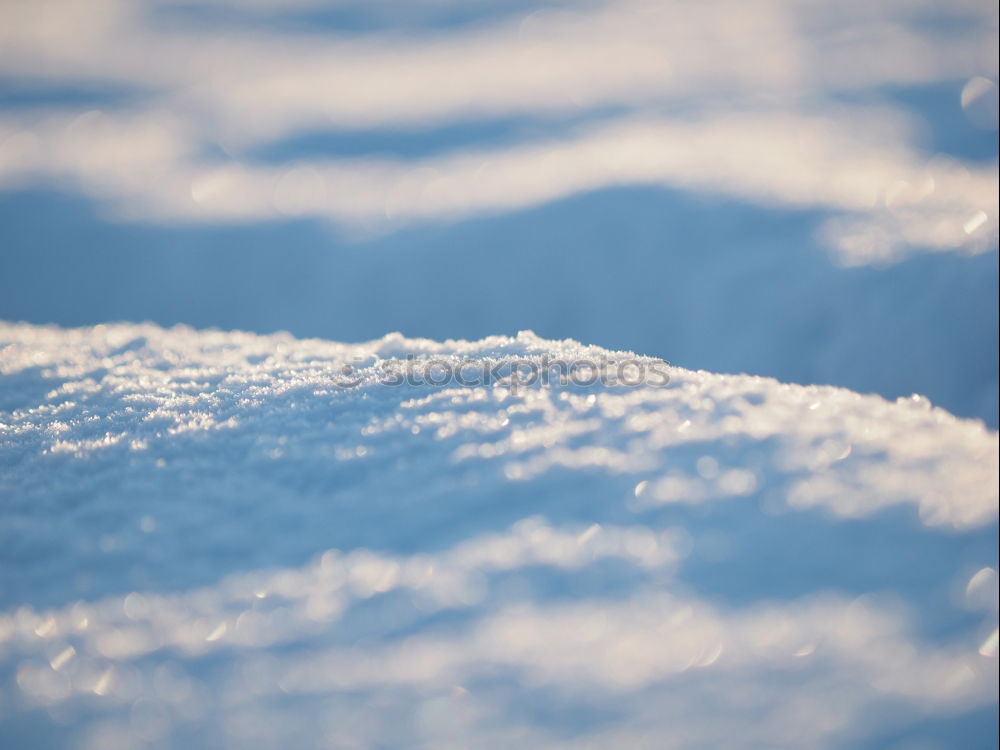 Similar – Winterzauber Sonne Schnee