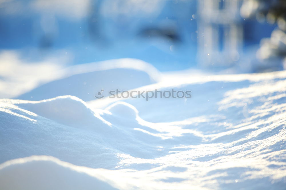 Similar – Image, Stock Photo Jule’s blowing snow Style