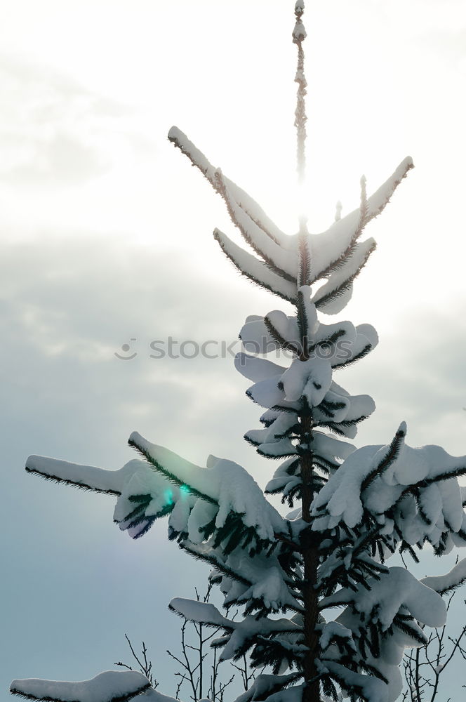 Similar – Image, Stock Photo Total lull Sky Clouds