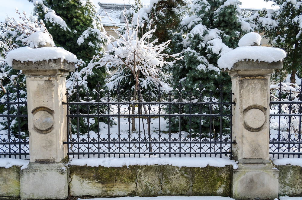 Similar – Foto Bild Stadtpark Tourismus