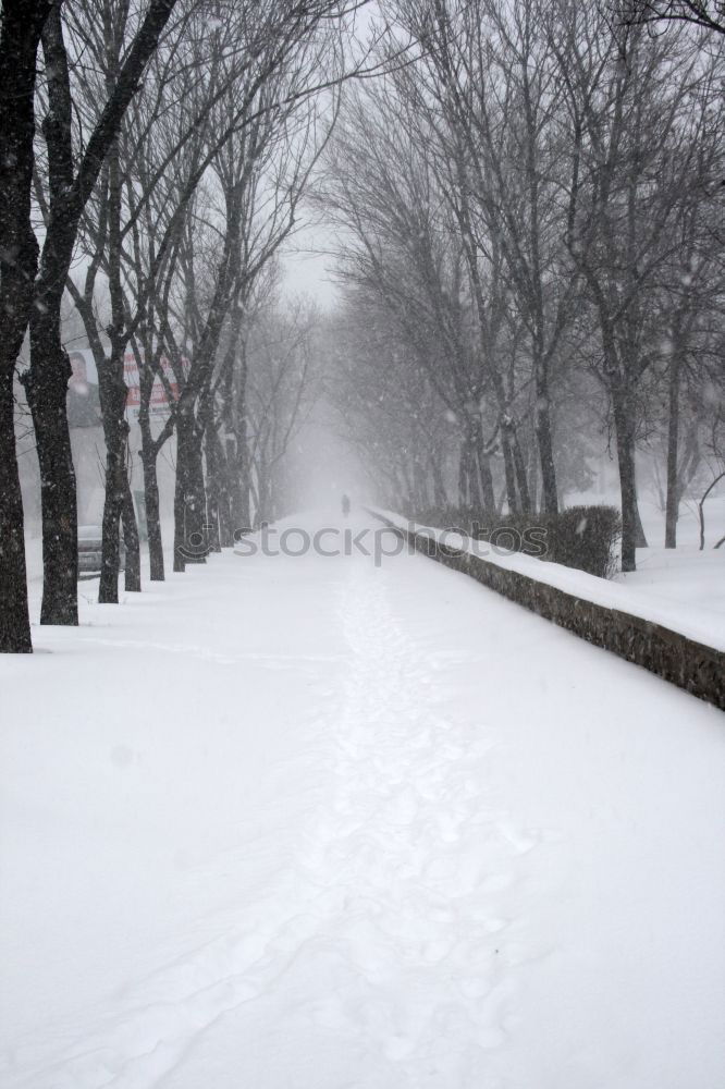 Similar – Image, Stock Photo tracks Winter Snow