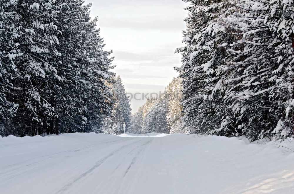 Similar – Foto Bild Abräumer Umwelt Natur